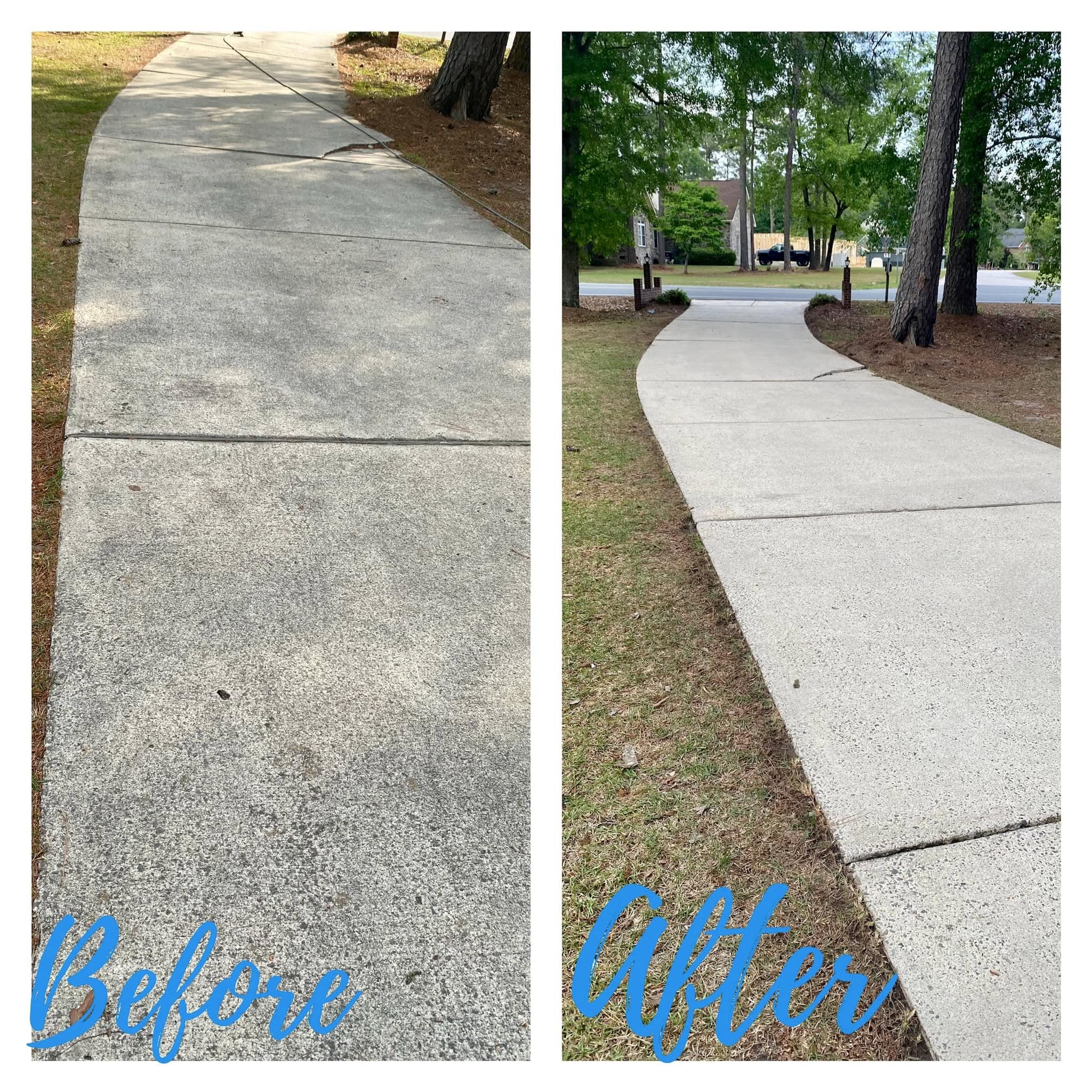Side-by-side before-and-after of a curved concrete walkway under pine trees: the left photo shows grey slabs streaked with algae and needles, the right shows pale, uniform clean concrete.